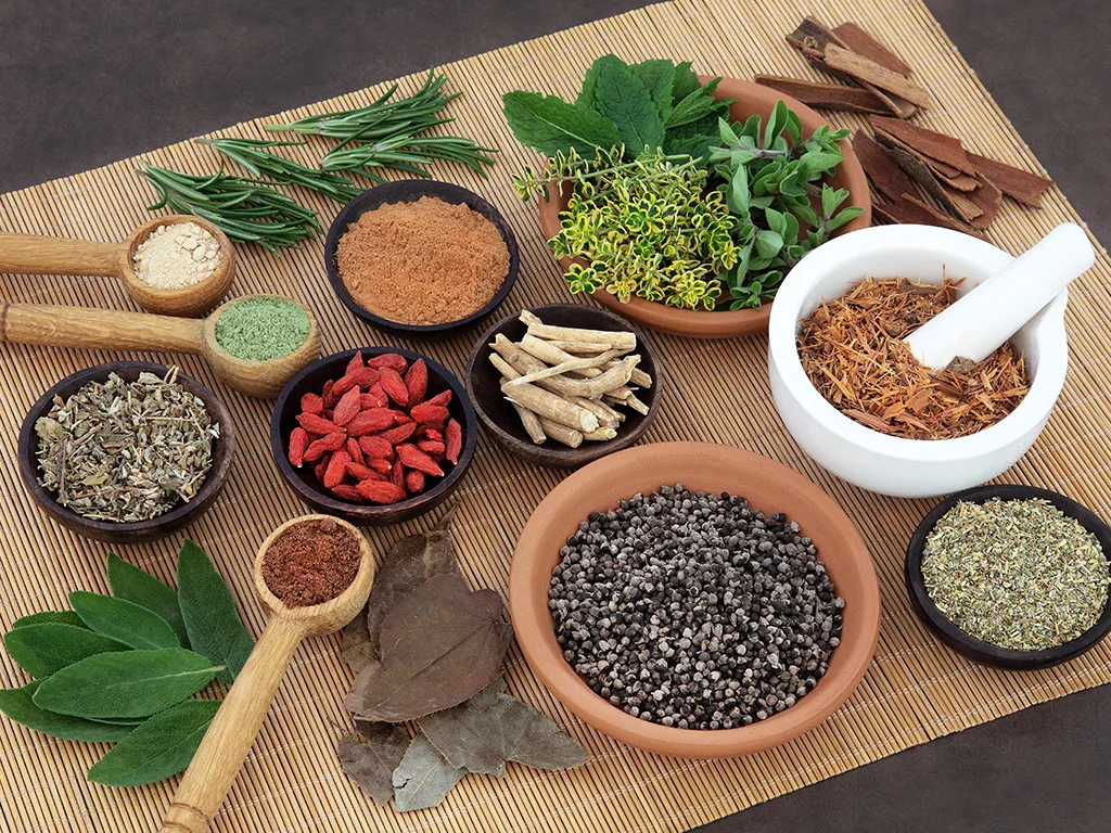 Ayurveda Blood Purification